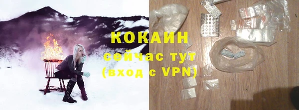 прущий лед Богданович