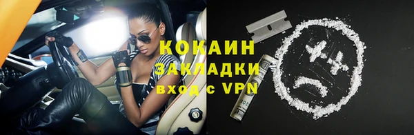 прущий лед Богданович