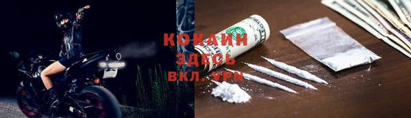 прущий лед Богданович