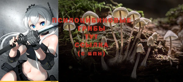 а пвп мука Богородицк