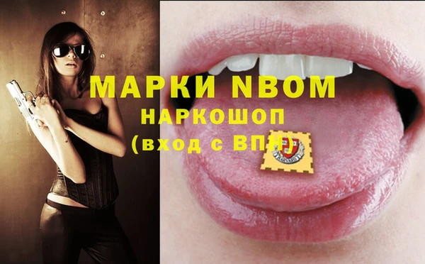 прущий лед Богданович