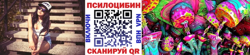продажа наркотиков  Спас-Деменск  Псилоцибиновые грибы Psilocybine cubensis 